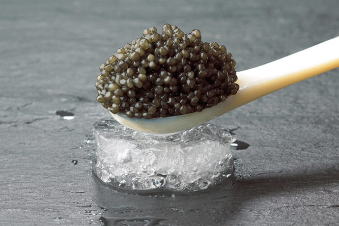 schwarzer Royal Kaviar auf einem Perlmuttlöffel