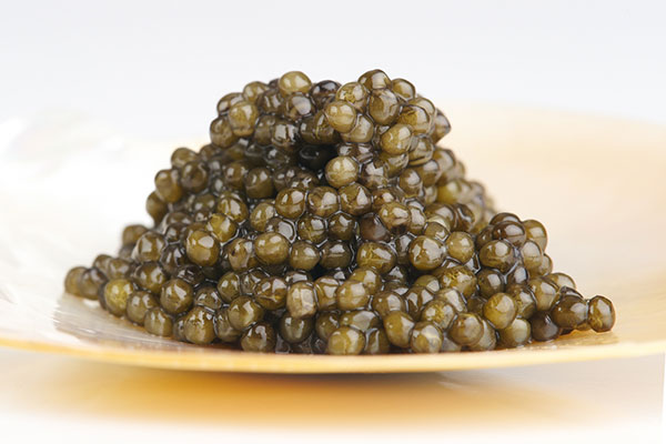 Nahaufnahme von Stör Kaviar