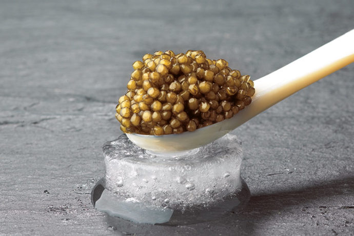 Royal Premium Gold Kaviar auf einem Perlmuttlöffel