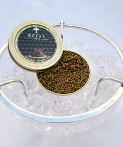 Geöffnete Dose Stör Kaviar der Sorte Royal Premium auf Eis in Kristall-Schale serviert.