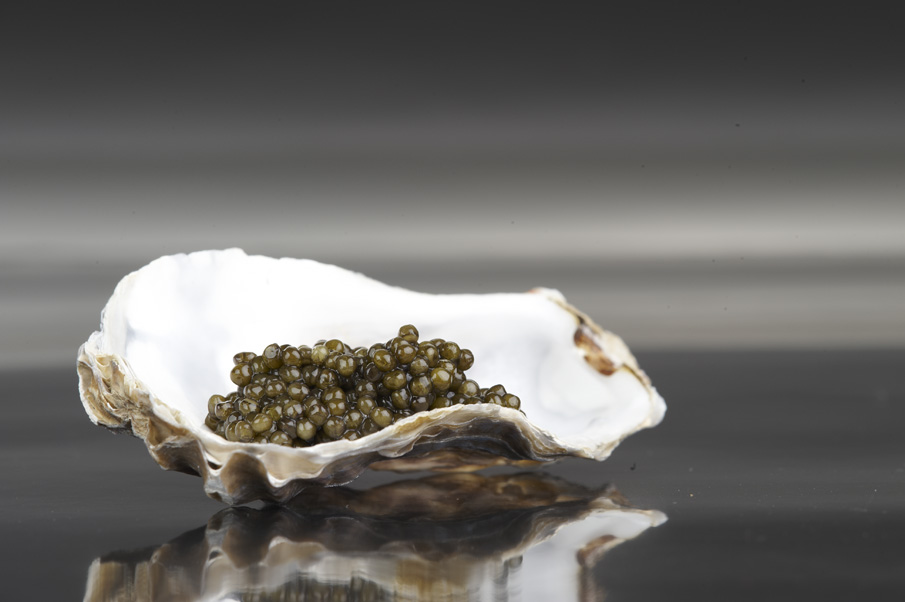 Kaviarsorten drapiert in einer Austernschale.