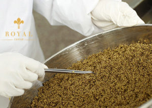 Ein Mitarbeiter von Royal Caviar selektiert die besten Kaviarsorten mit der höchsten Qualität.