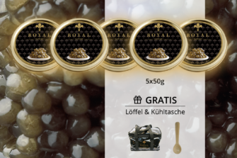 Kaviarprobierset mit fünf Dosen Kaviar, einem Löffel und Kühltasche