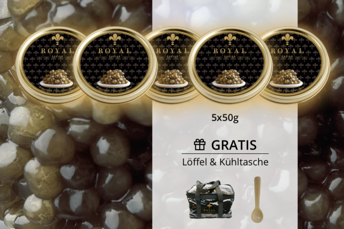 Kaviarprobierset mit fünf Dosen Kaviar, einem Löffel und Kühltasche