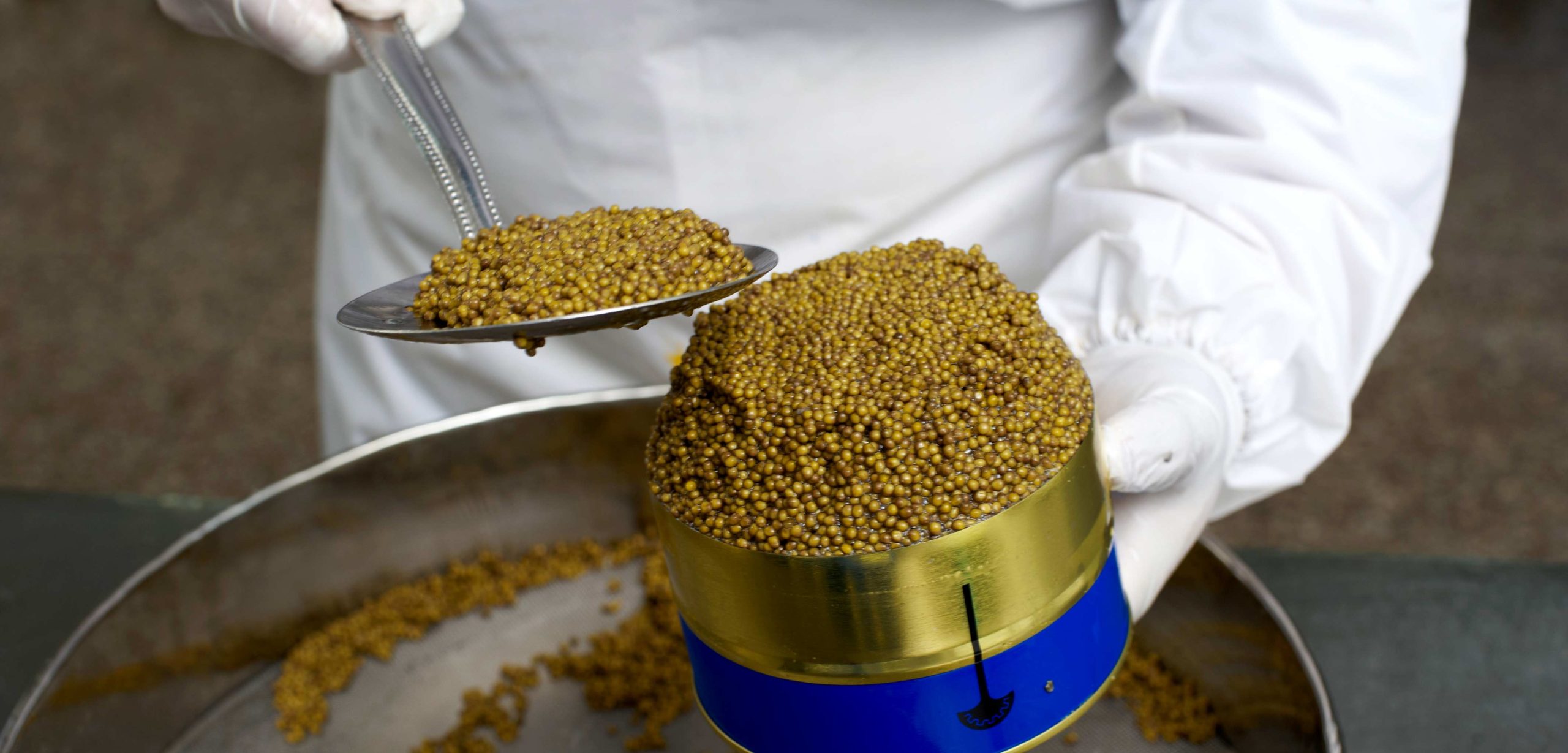 Mitarbeiter von Royal Kaviar verpackt Kaviar für den Großhandel individuell in Großgebinde zusammen