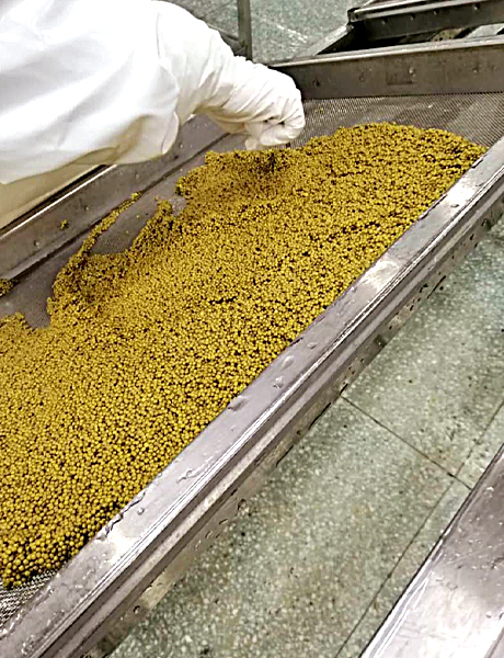 Royal Premium Gold Kaviar wird in der eigenen Kaviarproduktion von Royal Caviar sorgfältig verarbeitet