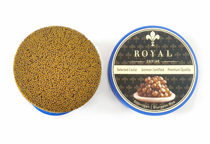 Großhandelsdose Royal Premium