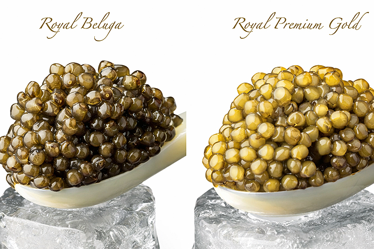 Gourmet-Set Luxury - Image 2